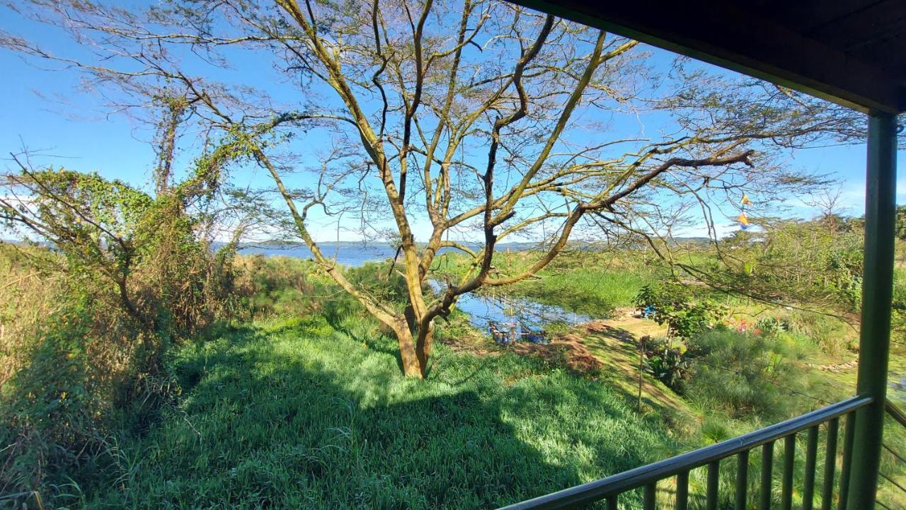 Yellow Haven Lodge Kampala Ngoại thất bức ảnh