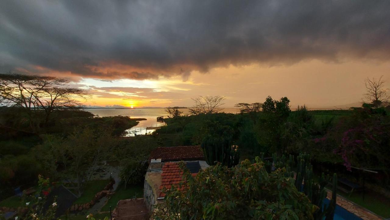 Yellow Haven Lodge Kampala Ngoại thất bức ảnh