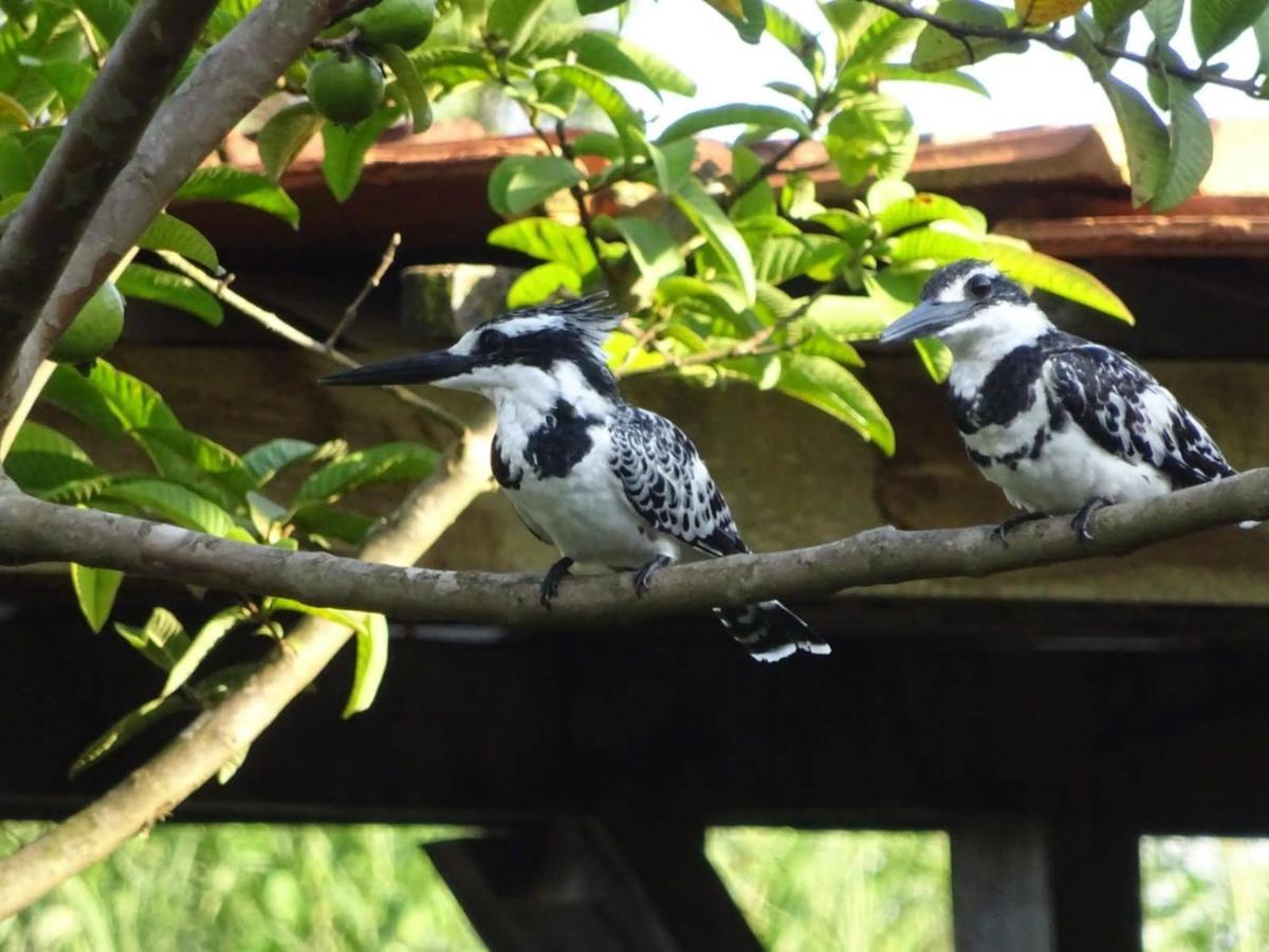 Yellow Haven Lodge Kampala Ngoại thất bức ảnh