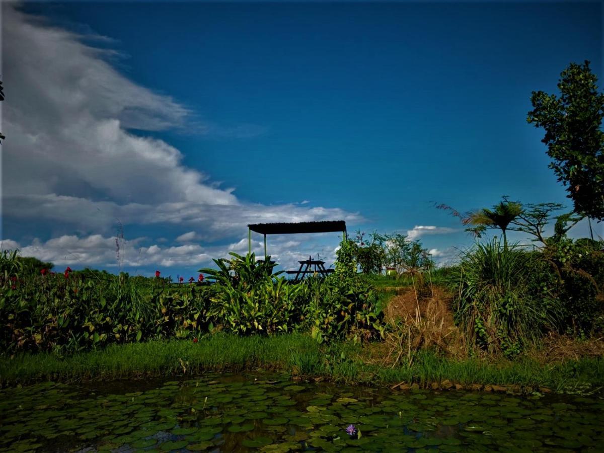 Yellow Haven Lodge Kampala Ngoại thất bức ảnh